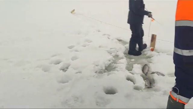 WhatsApp Video 2024 01 31 at 10 15 59 смотреть онлайн