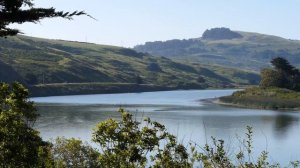 ФУТАЖ. Вспомним недавнее лето - красивая река. FOOTAGE. Beautiful river.