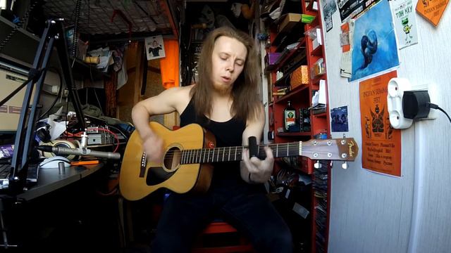 Pale Crow - The Ocean (guitar cover) смотреть онлайн