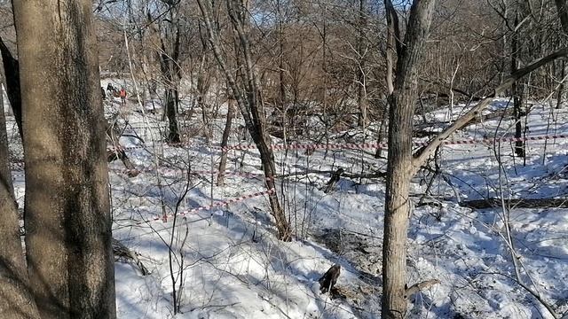 Фестиваль день мужика смотреть онлайн