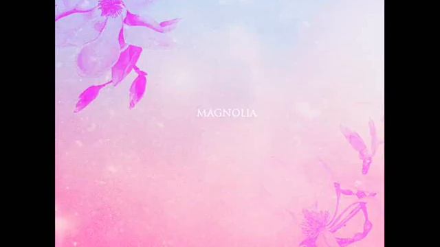 Ammobium - Magnolia смотреть онлайн
