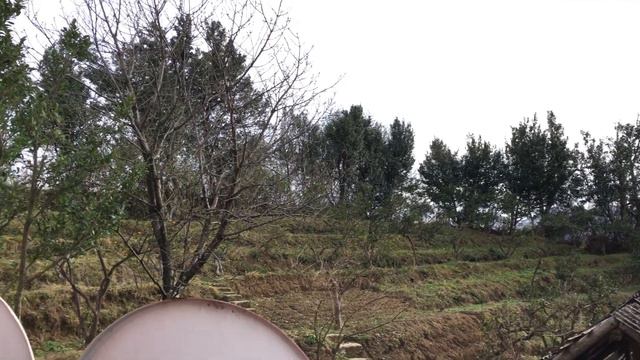 Дом в пригороде Батуми #8875 смотреть онлайн