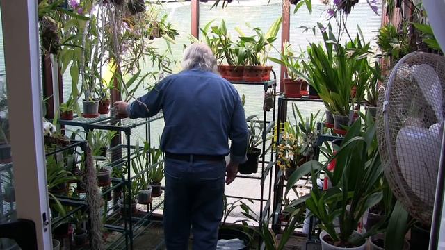This is 'Me At My Work' Watering My Potted Orchids смотреть онлайн