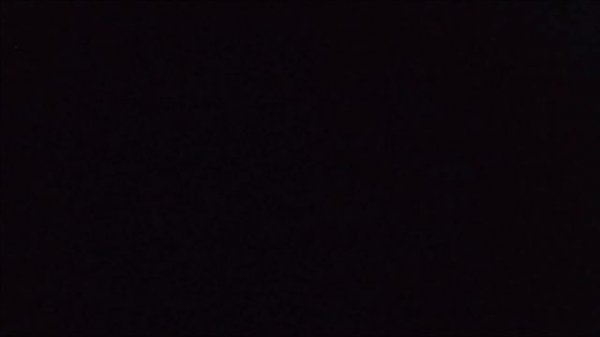 Прямая трансляция из Самарского питомника Мейн Кунов "Main Stream Royal"