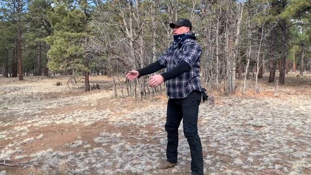 Bodyweight Fundaments - Bodyweight Squat смотреть онлайн