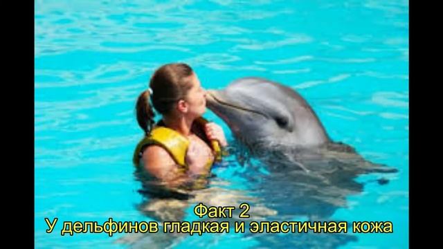 топ 5 фатов про дельфина смотреть онлайн