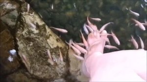 Китай, Хайнань, Санья, Отель Южный Китай и его территория. BlagoVsem