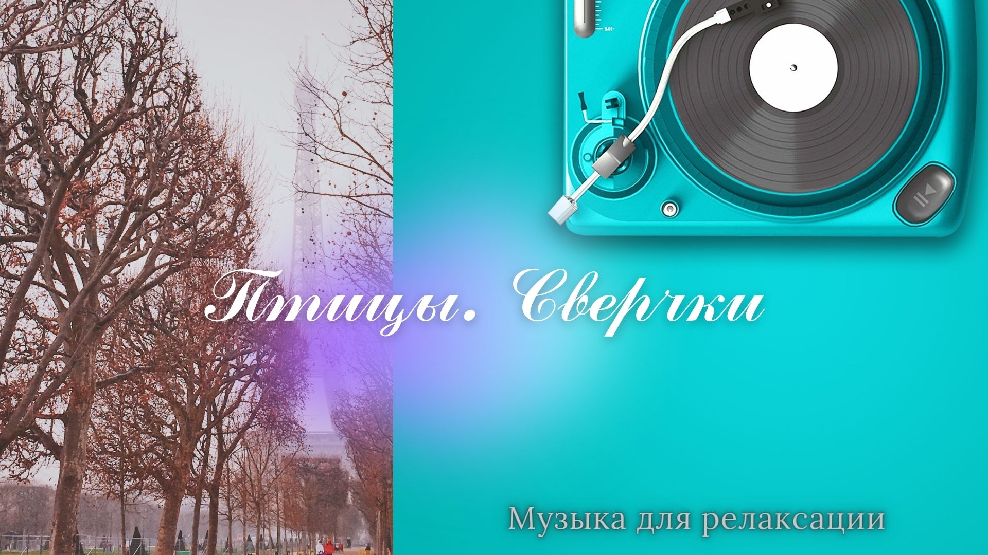 ПТИЦЫ, СВЕРЧКИ