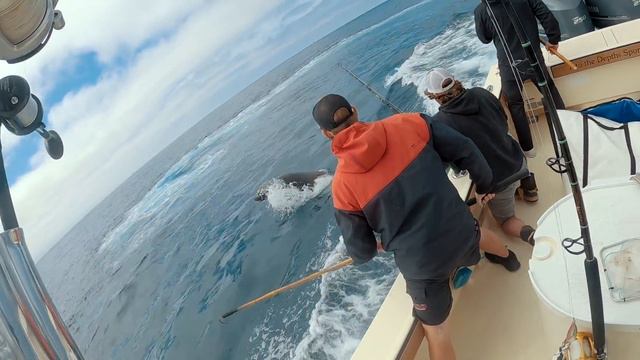 BIG BLUEFIN TUNA Kite Fishing + EASY TO MAKE SUSHI ROLL (CATCH AND COOK) смотреть онлайн