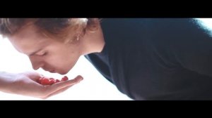 Shortparis - День кормления