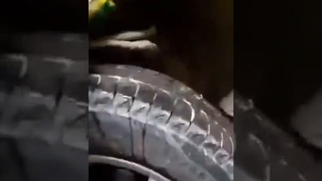 Ты не повериш приехал клиент Что-то стучит ! смотреть онлайн