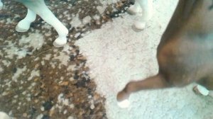 Типы лошадей шляйх!