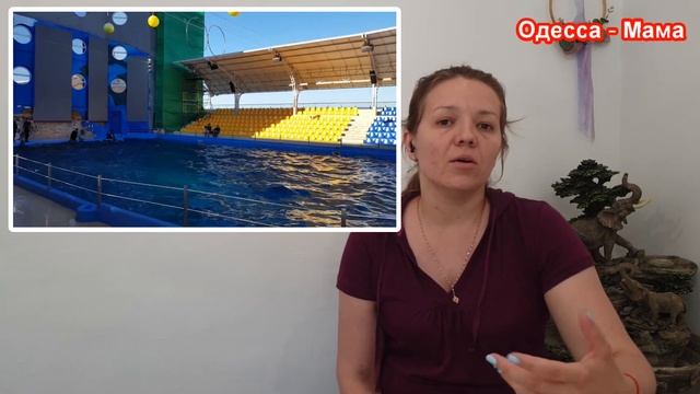 Дельфинарий "Немо" в Одессе. Интересно ли идти в дельфинарий. Достопримечательности Одессы смотреть онлайн