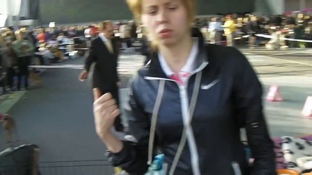 Выставка собак памяти Сабанеева. Левретки смотреть онлайн