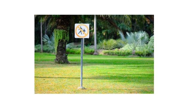 Imidacloprid 2F (Turf & Ornamental Insecticide): Product Review смотреть онлайн