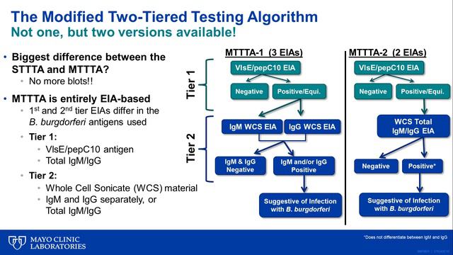 Modified two-tiered testing for Lyme disease смотреть онлайн