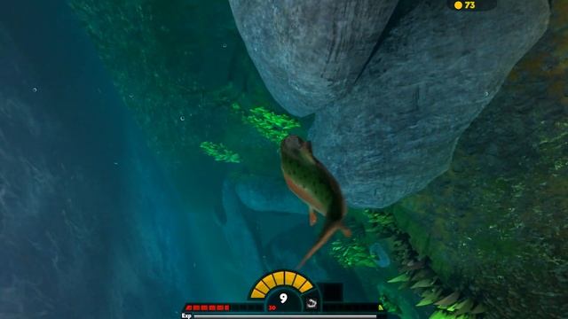 Amazing New River Salmon! - Feed and Grow Fish Gameplay - 0.7 Ocean Update - New Salmon and Baracud смотреть онлайн