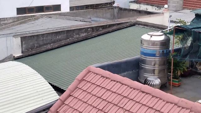 Нячанг Вьетнам свой сад на крыши Цветы в каждом доме смотреть онлайн