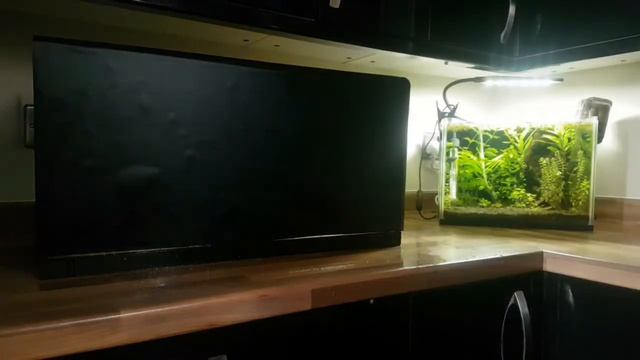 How to put on a Fish Tank Background : Attaching a background to aquarium : Step by step : aquascap смотреть онлайн