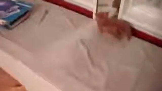 Рыжий котёнок и зеркало смотреть онлайн