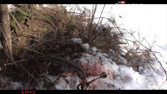 Охота на волка в Якутии / Волк-беглец. Выжить любой ценой./ смотреть онлайн