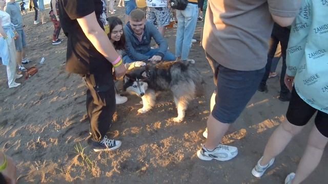 Пневмослон - Жора наращивает массу (Пляж 2.3) смотреть онлайн