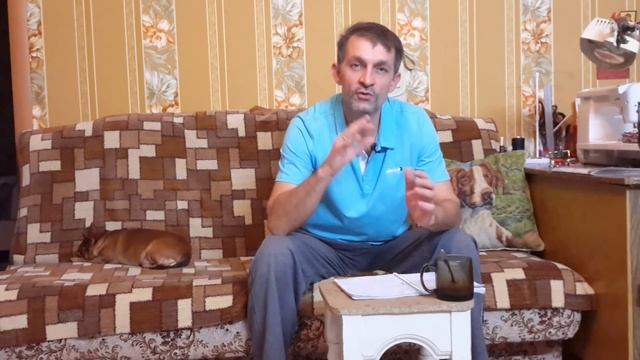 КАК КУПИТЬ ПОРОСЯТ смотреть онлайн