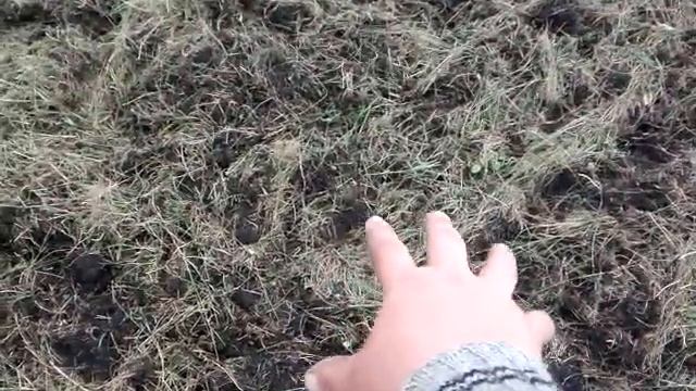 Мотоблок НЕВА пашем ЦЕЛИНУ ФРЕЗОЙ. смотреть онлайн