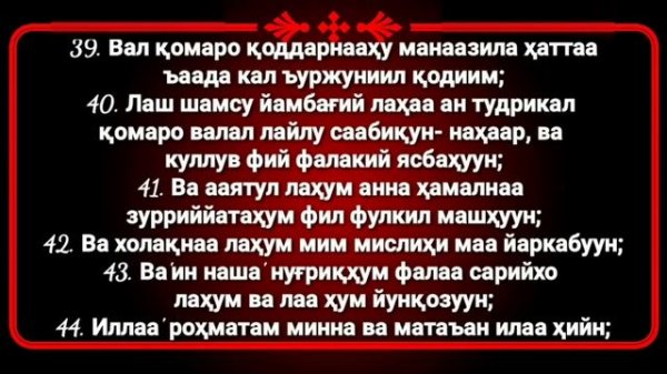 Yosin surasi o'zbekcha o'qilishi yodlash uchun ёсин сураси узбек тилида урганиш учун | ясин | yasin