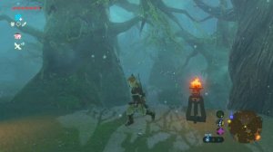 The Legend of Zelda - Breath of the Wild  ЗАТЕРЯННЫЕ ЛЕСА \ #29