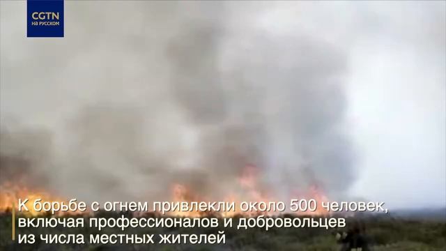 На горе Килиманджаро третьи сутки тушат пожар смотреть онлайн