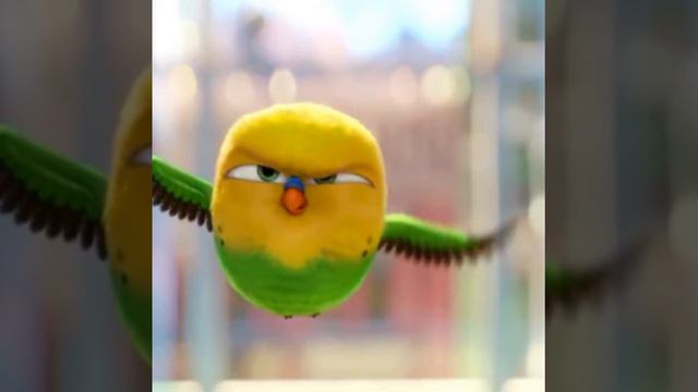 Тайная жизнь домашних животных☆♡☆♡ смотреть онлайн