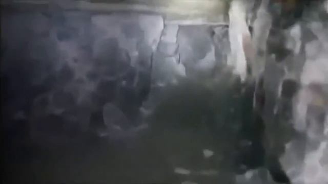 Подземные Цивилизации смотреть онлайн