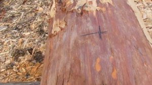 Прирубаем бревна в срубе. С чего начать?