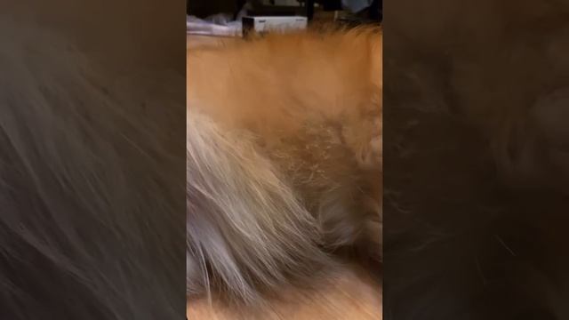 Шитье и рукоделие