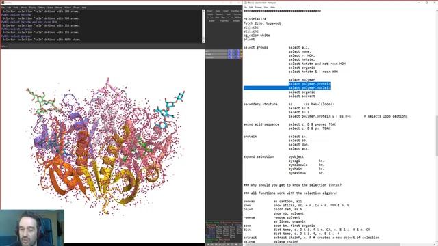 PyMOL tutorial 2 : Making selections and using commands смотреть онлайн