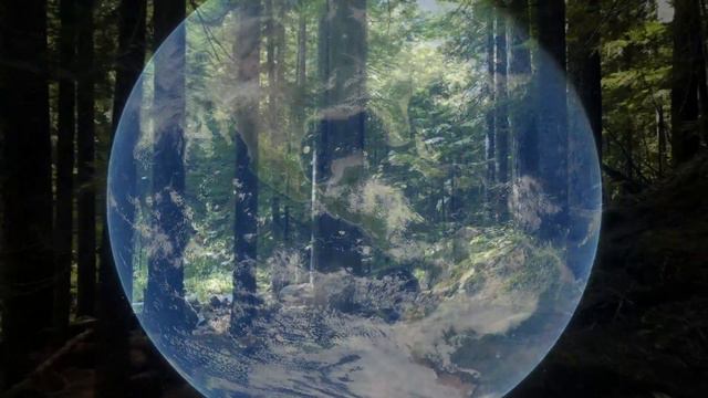 Forest Intelligence & the Fermi Paradox #fermiparadox #emergentintelligence #astronomy смотреть онлайн