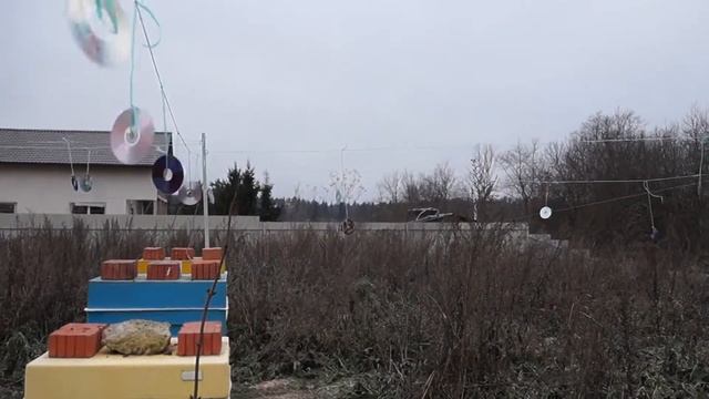 Пчеловодство в Подмосковье. Защита ульев от синиц и дятлов. смотреть онлайн