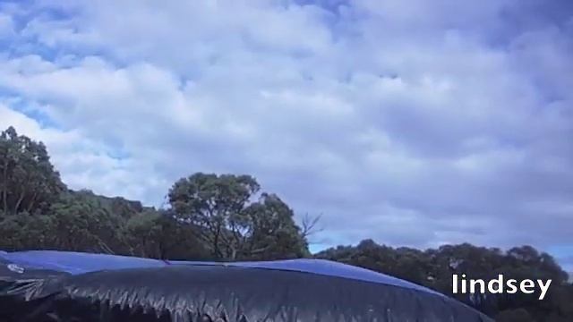 Mount Baw Baw Airbag.