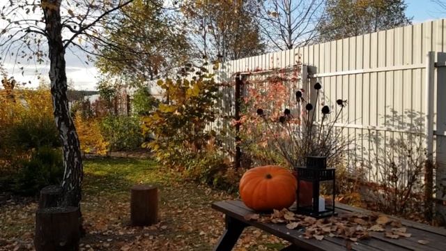 САЖАЮ ЛУКОВИЧНЫЕ; осенняя композиция в саду и многое другое. смотреть онлайн