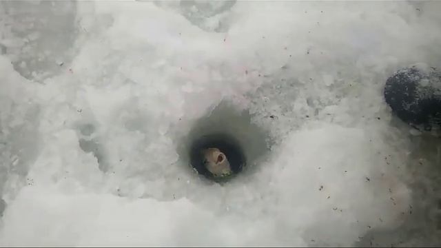 Яуза, Смоленская область.от Цыпы. смотреть онлайн