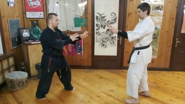 Hasami Uchi Sanseiryu Kata Bunkai Okinawa Uechi Ryu Karate Okikukai Russia