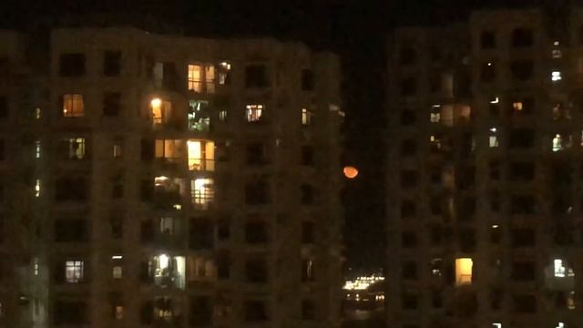 OMG Orange Moon!!! смотреть онлайн
