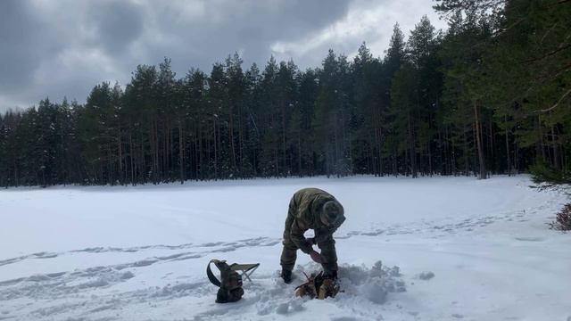 Рыбалка на лесном озере смотреть онлайн