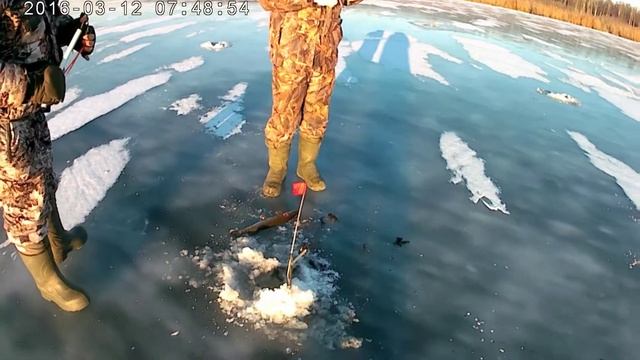 Рыбалка на жерлицы, озере Сомино, 12.12.2020г., смотреть онлайн