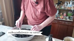 Посев красивейшего кустарника пираканта