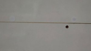 diy из старого шкафа. Как сделать гардеробную из старого встроенного шкафа.