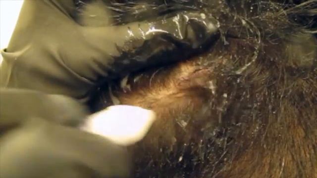 Jet Peel Video смотреть онлайн