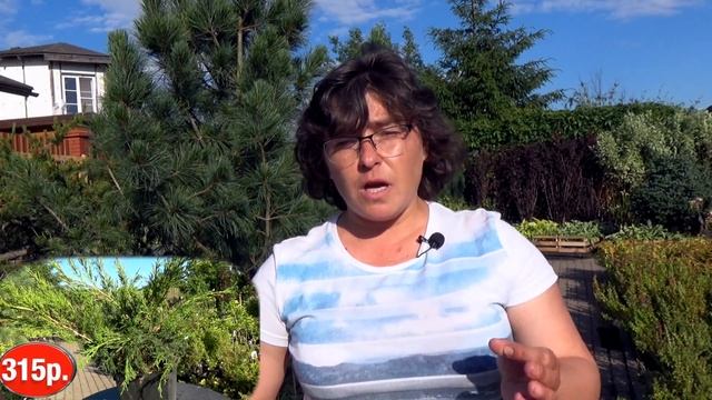 Как сэкономить на растениях? Чем отличается акция от уценки? Скидки от распродаж? смотреть онлайн