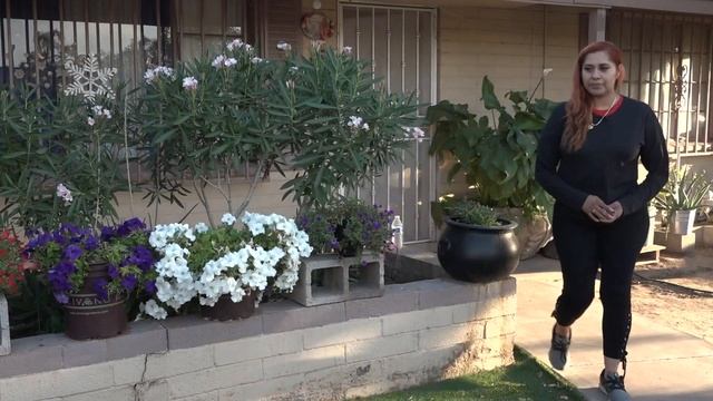 Phoenix police cite man recorded hitting worker in viral TikTok video смотреть онлайн